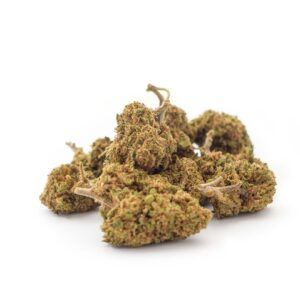 Cogollos de flor CBD Amnesia Haze Outdoor Small Bud 15 gr. de Olympus CBD