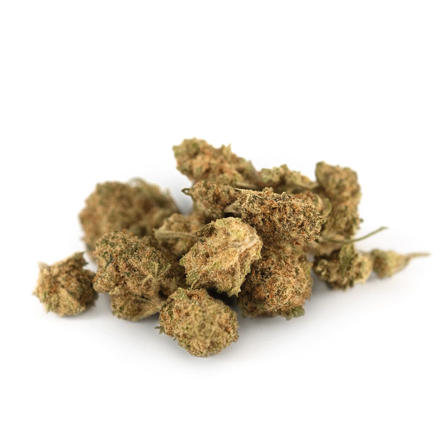 Biscoti Indoor