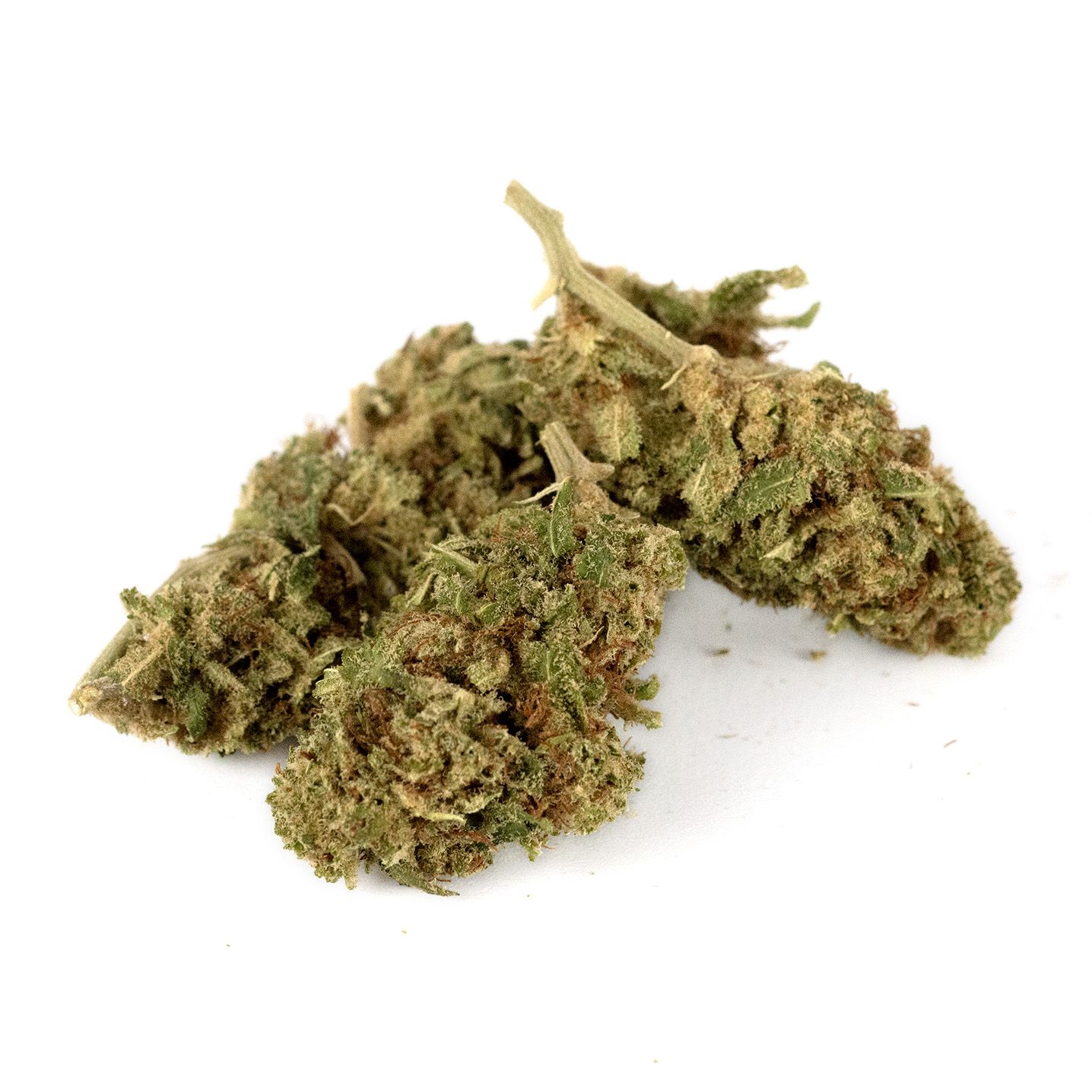 Gelato41 Premium