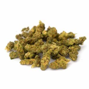 Cogollos de flor CBD Critical Indoor Dense Bud 15 gr. de Olympus CBD