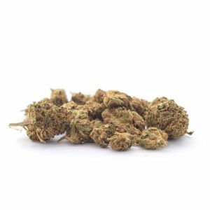 Cogollos de flor CBD Vainilla Indoor Small Bud 15 gr. de Olympus CBD