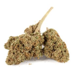 Cogollos de flor CBD Biscoti Outdoor Small Bud 15 gr. de Olympus CBD