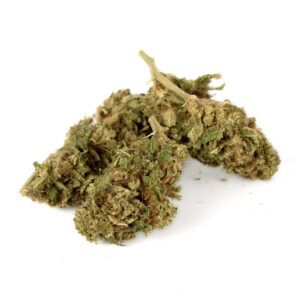 Cogollos de flor CBD Gelato41 Premium Big Bud 3,5 gr. de Olympus CBD