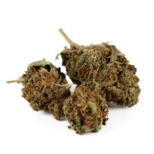 Cogollos de flor CBD Orange Cookies Outdoor Small Bud 15 gr. de Olympus CBD