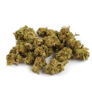 Cogollos de flor CBD Critical Outdoor Small Bud 15 gr. de Olympus CBD