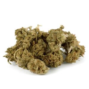 Cogollos de flor CBD White Purple Outdoor Small Bud 15 gr. de Olympus CBD
