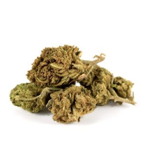 Cogollos de flor CBD Zkittlez Outdoor Small Bud 15 gr. de Olympus CBD
