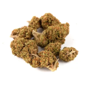 Cogollos de flor CBD Cheese Indoor Small Bud 15 gr. de Olympus CBD